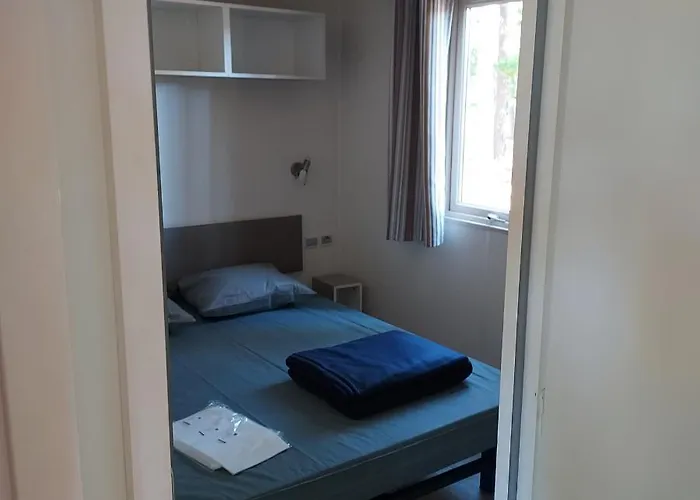 Onlycamp Le Petit Bocage * Les Essarts (Vendee)